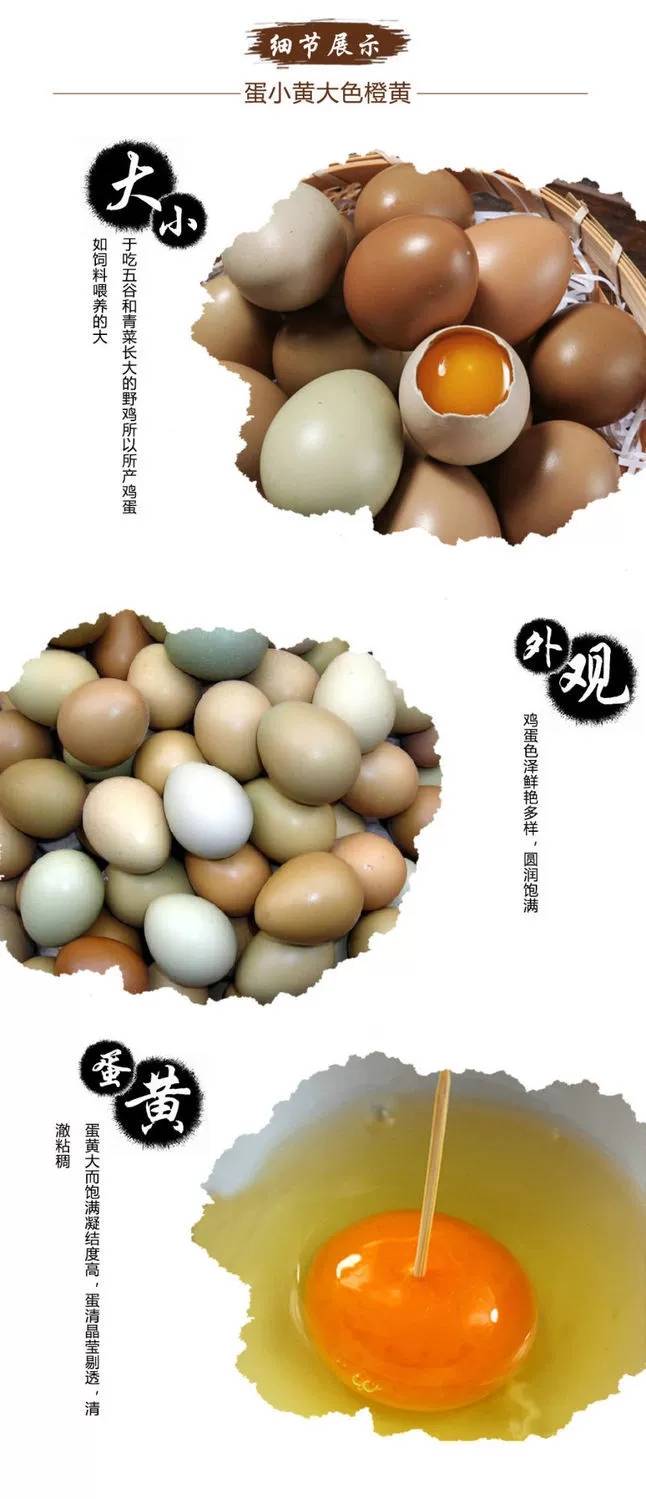 山鸡蛋-3