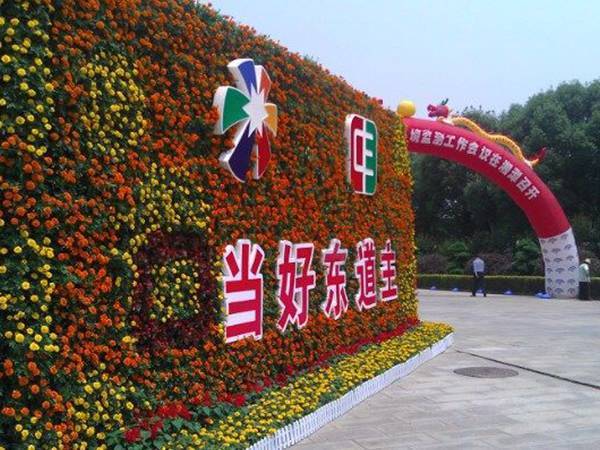 经典案例