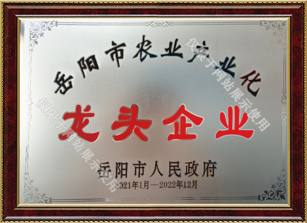 資質證書