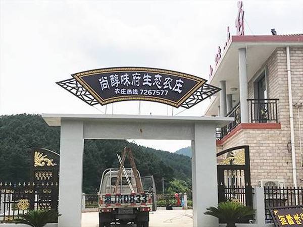 成功案例