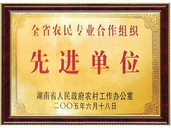 先进单位