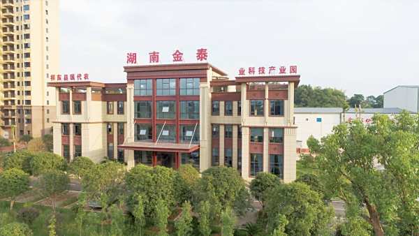 厂房面貌