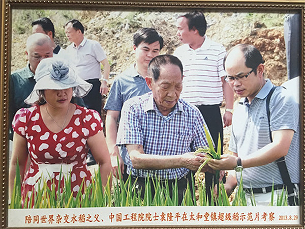 2013年8月29日世界杂交水稻之父袁隆平先生莅临金泰米业有限公司