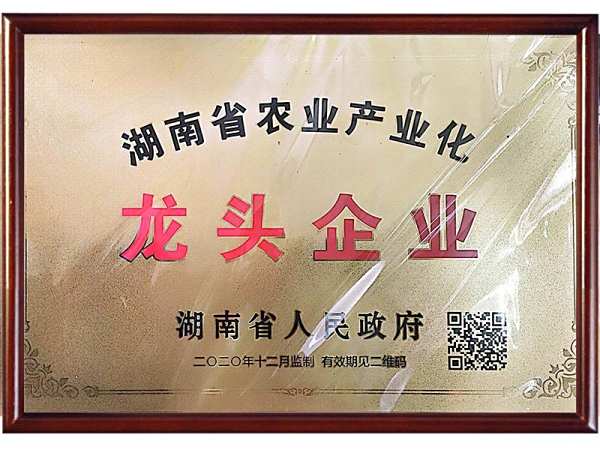 湖南省龙头企业