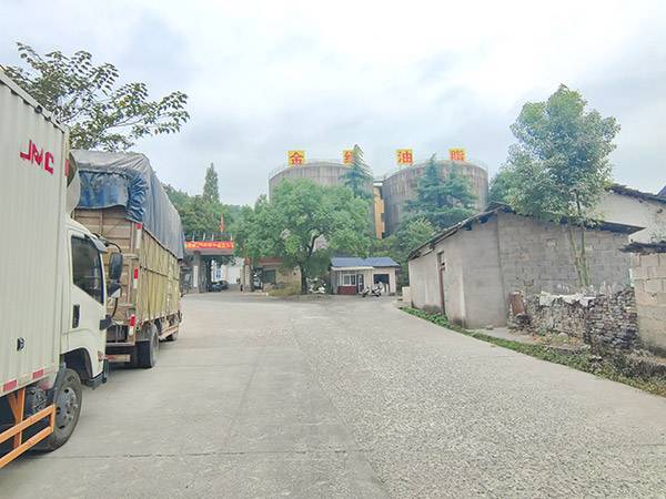 厂区环境