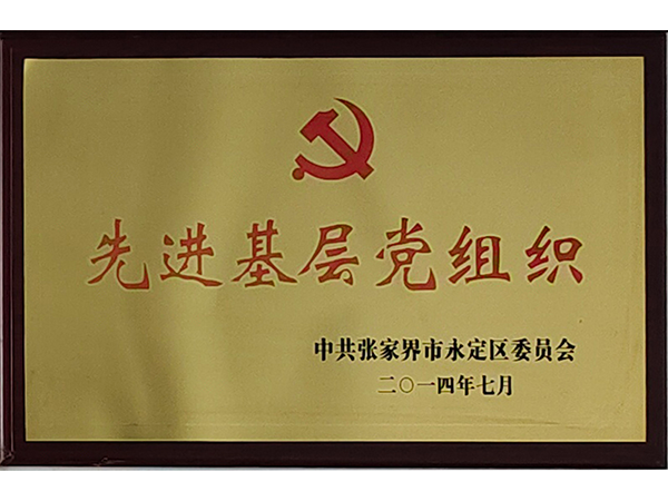 先进基层党组织