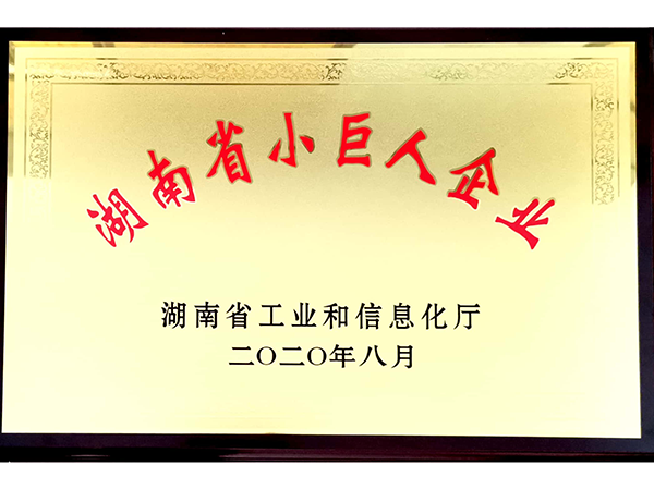 湖南省小巨人企业