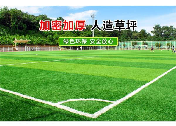 休闲草坪
