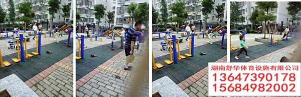 洞口縣國稅局室外路徑