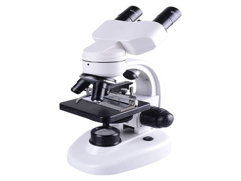 光学/电子显微镜