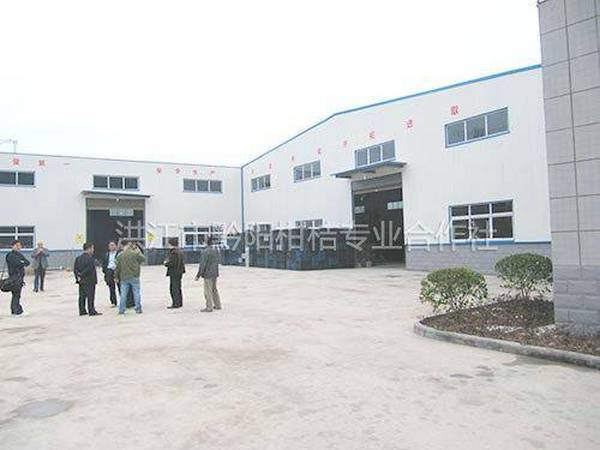 合作社商品化处理基地外貌