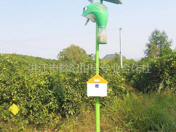 果园基地风貌