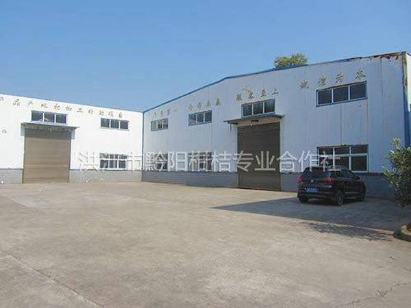 合作社商品化处理基地