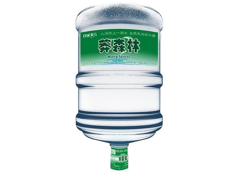 仕之源16.9L桶装矿泉水精品