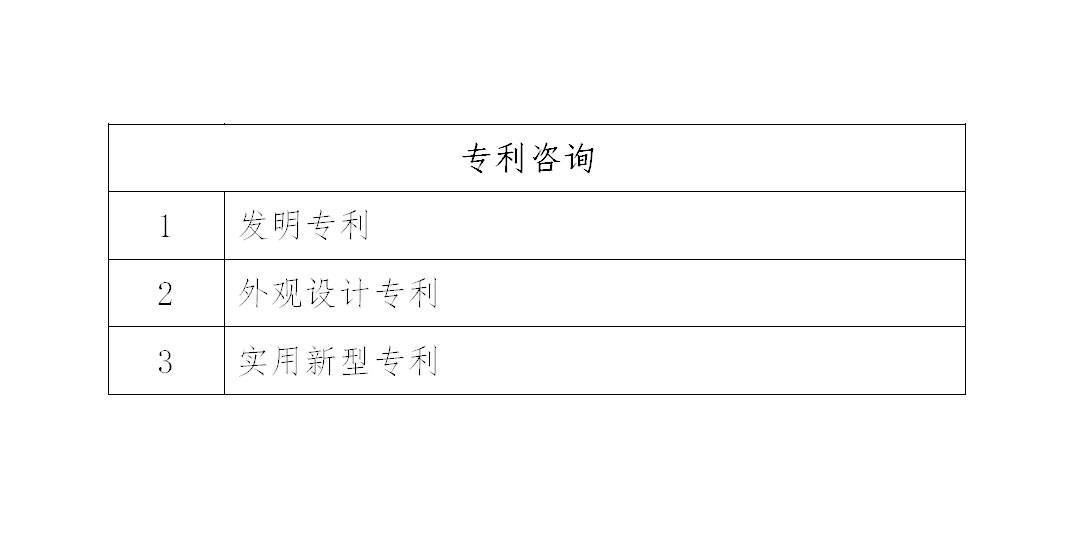 专利咨询