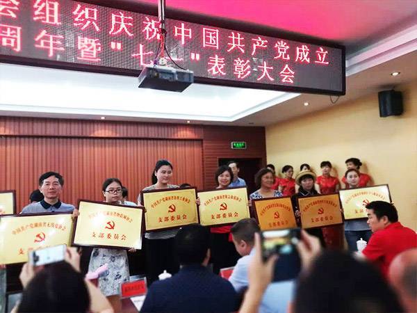 湖南省四叶草党支部成立