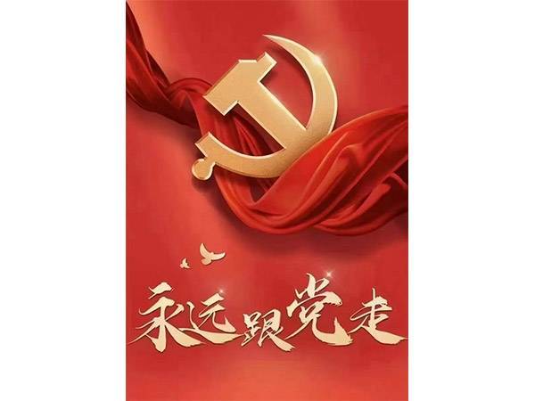 深入贯彻十九大精神，精准帮扶精神病患（书记讲党课）