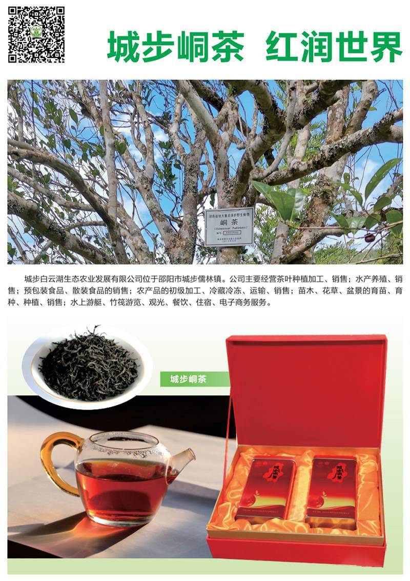 城步峒茶详情页