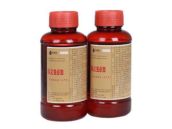 科義蟲(chóng)必加