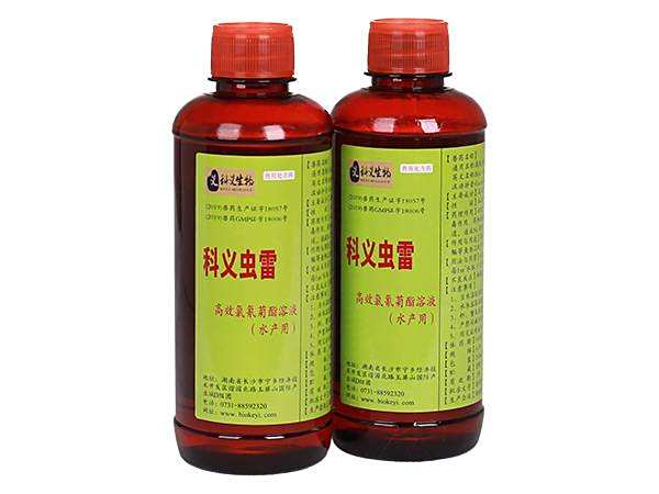 科義蟲(chóng)雷