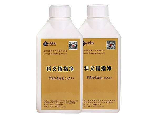 科義指指凈