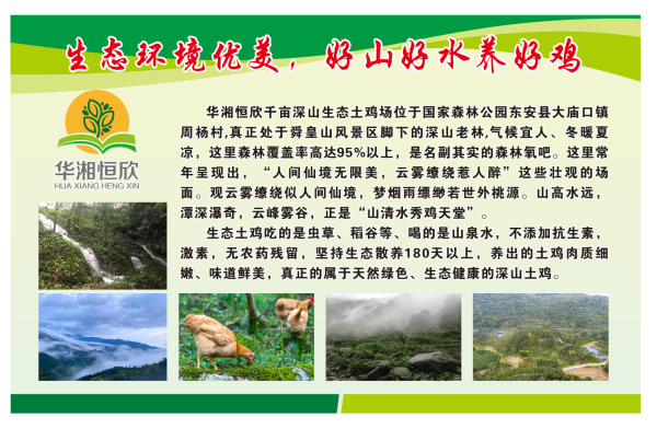 华湘恒欣深山土鸡简介