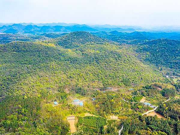 什么是生态食品