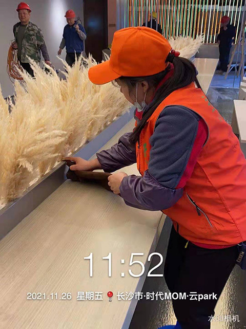 长房