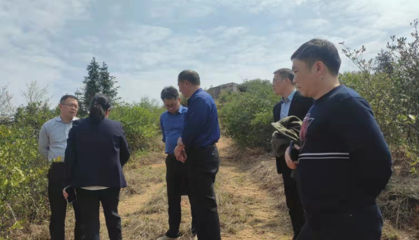 县人大副主任罗武群等相关领导来我司调研