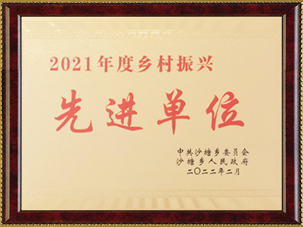 21年乡村振兴先进单位