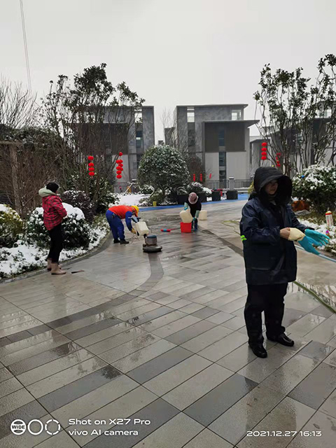 主图