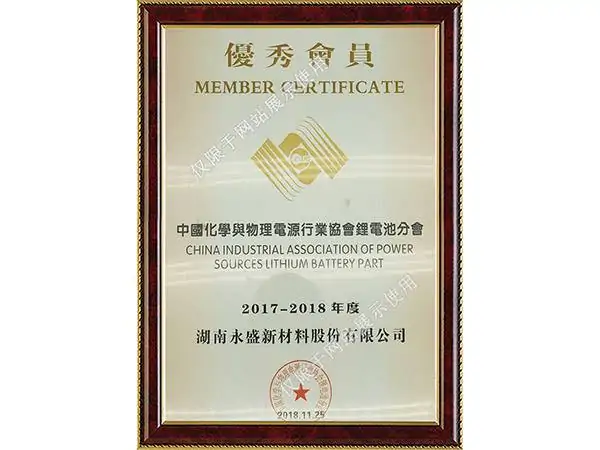 Excellent member of lithium battery branch of China chemical and physical power