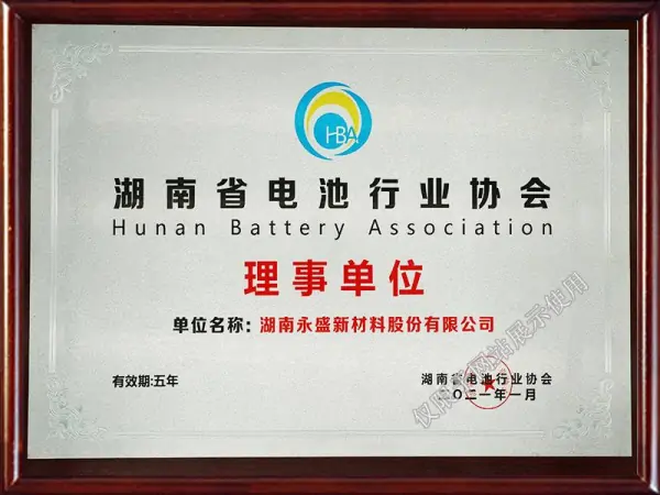 Director unit of Hunan Battery Industry Association