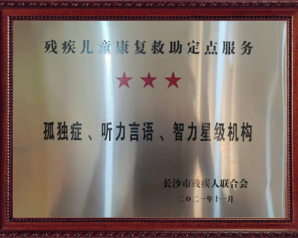 孤独症、听力言语、智力星级机构