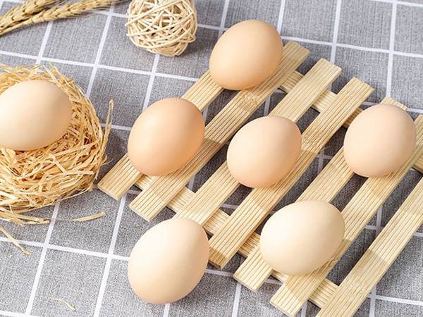 營養對蛋重的影響
