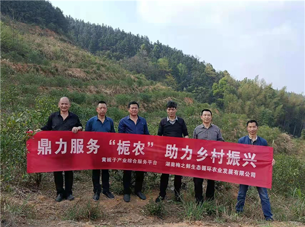 湖南梅之鲜生态循环农业发展有限公司鼎力服务栀农助力乡村振兴
