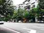 益陽市棲霞路提質改造工程(金山路-會龍山公園)