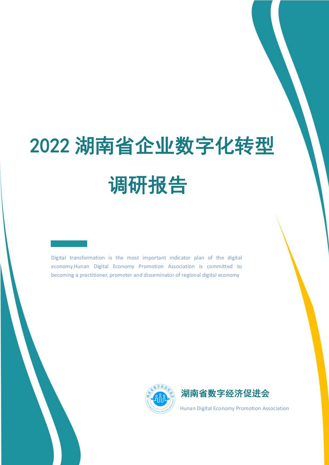 2022湖南省数字化转型问卷调研报告_0