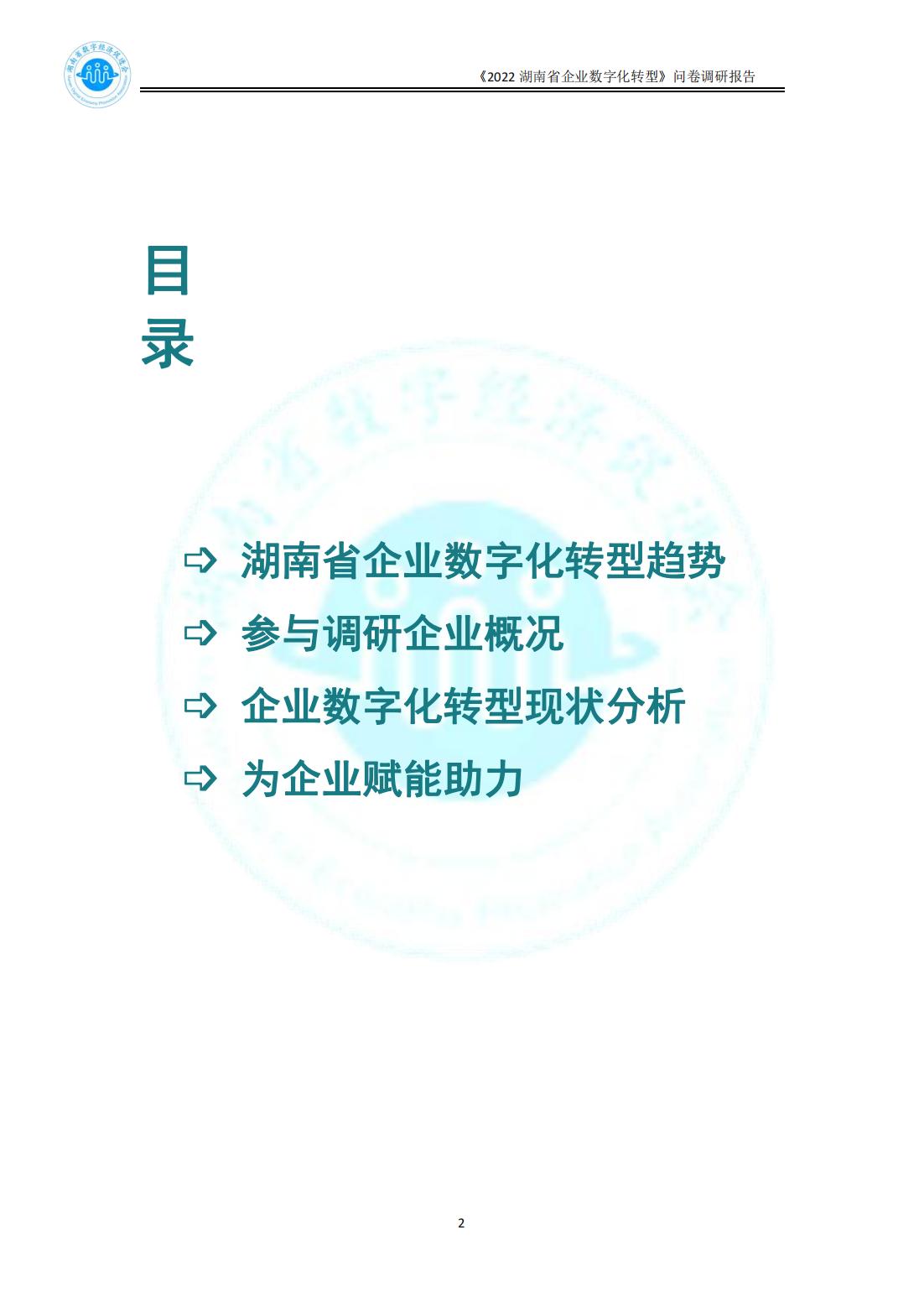 2022湖南省数字化转型问卷调研报告(1