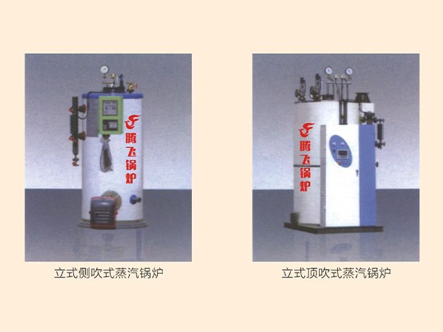 LSS系列立式燃油（气）蒸汽锅炉