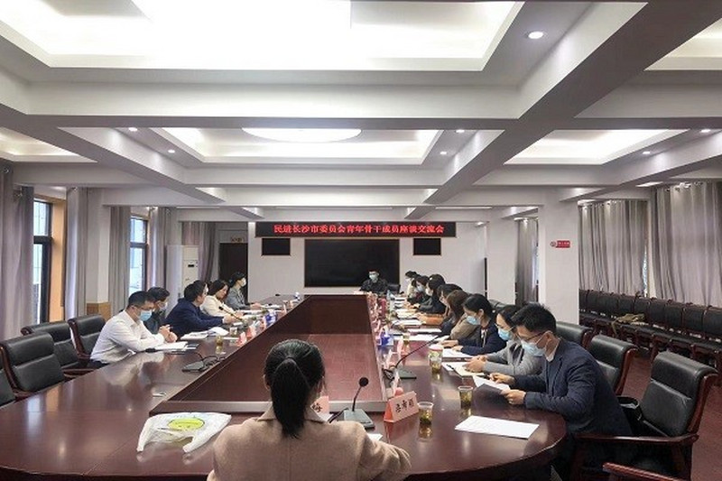 民进长沙市委会青年骨干成员座谈交流会成功举办