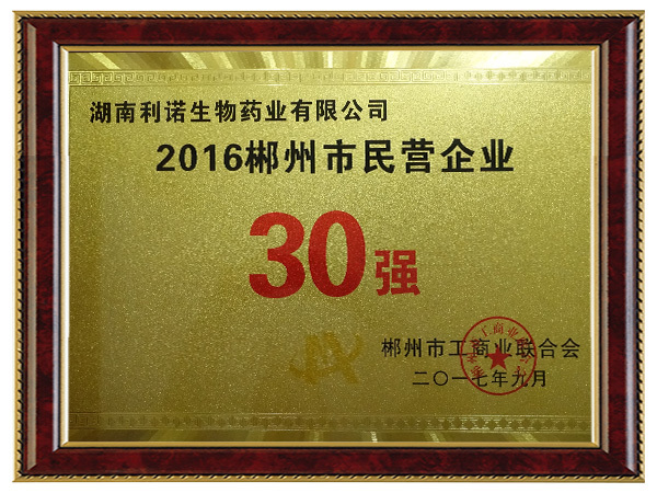 民營企業30強