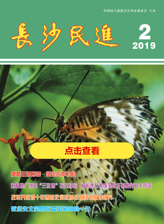 长沙民进季刊2019年第2期