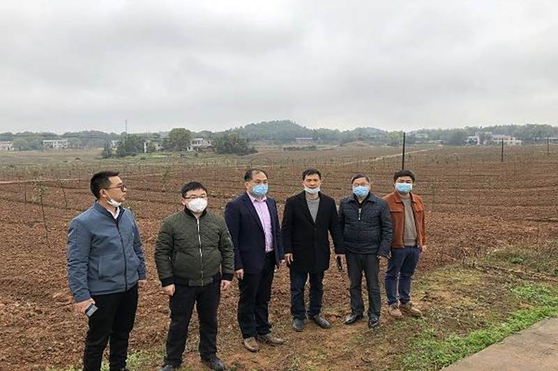 肖深根：深入农村指导春耕，确保防控、生产两不误