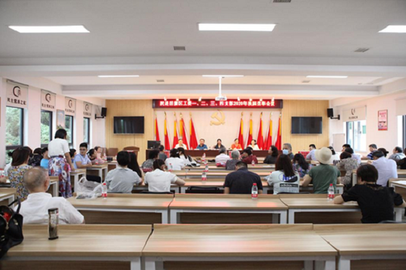 岳麓区工委一、二、三、四支部换届选举 大会顺利举行