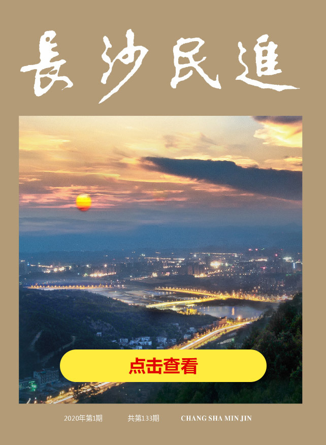 长沙民进会刊2020年第1期