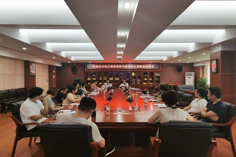 长沙幼儿师范高等专科学校支部成功完成换届选举