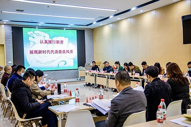 认真履行职责 展现新时代代表委员风采 ——民进长沙市委会举行会内市人大代表、政协委员履职培训