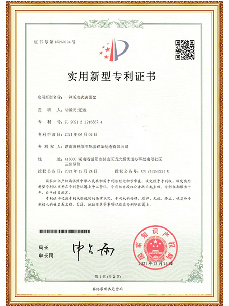 活动式表面桨证书