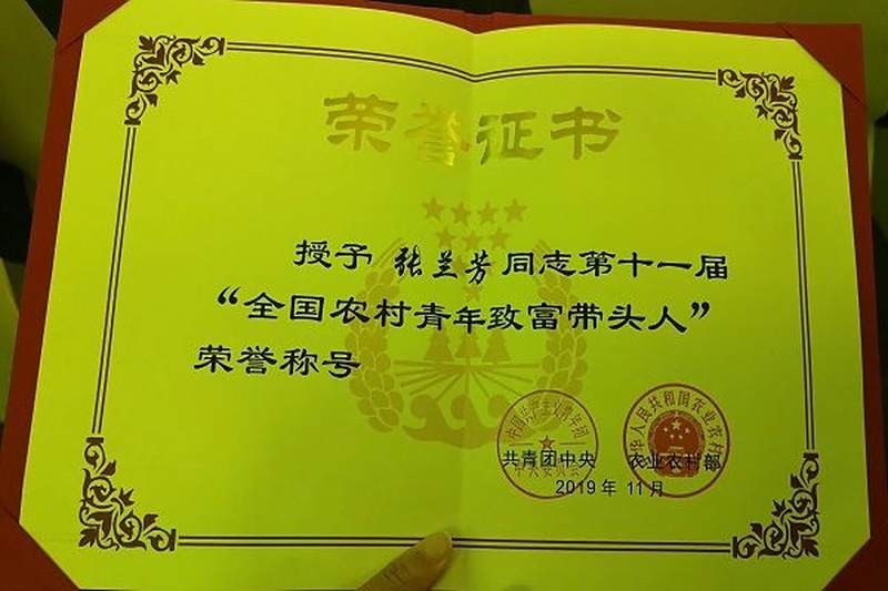 喜讯！民进会员张兰芳荣获第十一届“全国农村青年致富带头人”荣誉称号